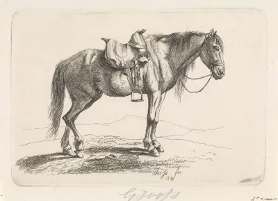 Gezadeld paard