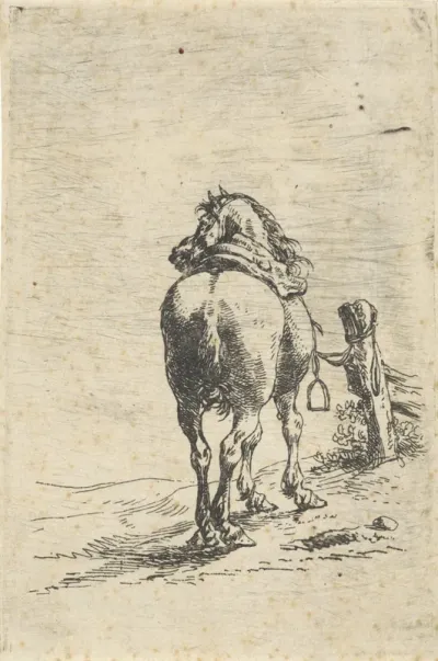 Gezadeld paard aan een paal