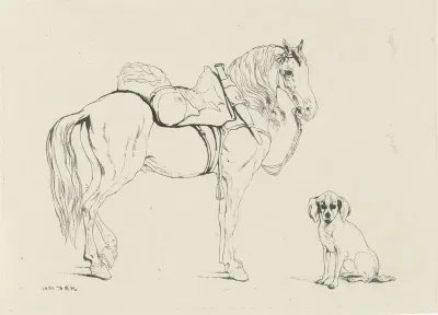 Gezadeld paard en hond