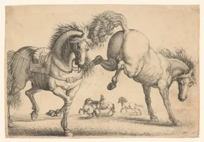Gezadeld paard en paard zonder zadel
