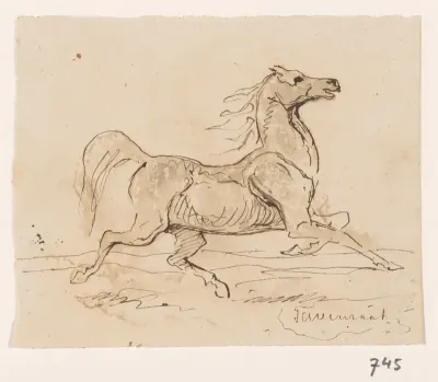 Gezadeld paard, in draf
