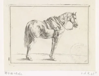 Gezadeld paard naar rechts