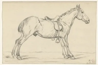 Gezadeld paard, naar rechts