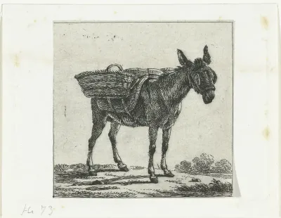 Gezadelde ezel met oogkleppen