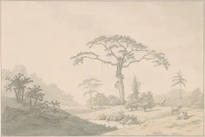 Gezicht bij een hoeve in Suriname