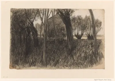 Gezicht door bomen op een hooischuur