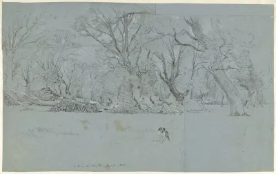 Gezicht in het bos te Windsor