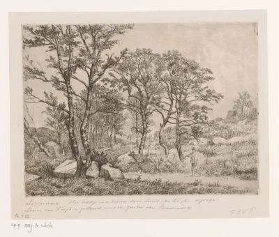 Gezicht in het bos van Fontainebleau met twee koeien