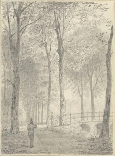 Gezicht in het bos van het hof te Bergen, bij Heiloo