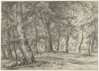 Gezicht in het Haagse Bos