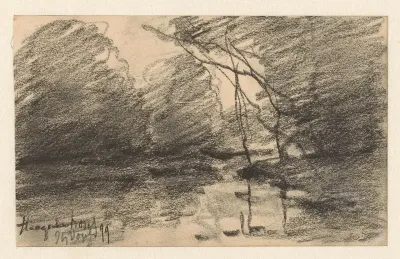 Gezicht in het Haagse Bos