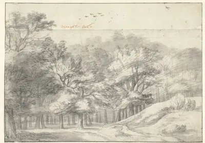 Gezicht in het Haagse Bos