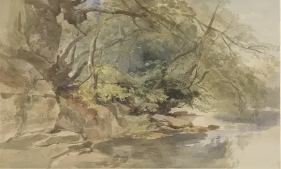 Gezicht in Stapleton Wood, bij Bristol