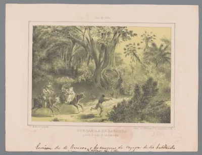 Gezicht op Baracoa