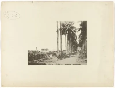 Gezicht op de boerderij van plantage Rosenburg en de Gemenelandsweg, Suriname