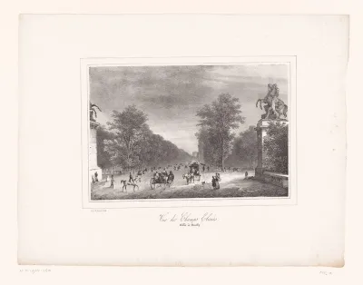 Gezicht op de Champs-Elysées in Parijs