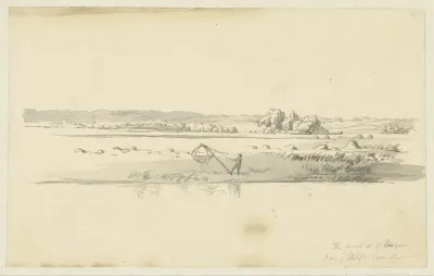 Gezicht op de duinen buiten Den Haag
