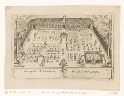 Gezicht op de Hortus Botanicus te Leiden
