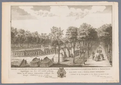 Gezicht op de Maliebaan in Den Haag