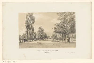 Gezicht op de Maliebaan in Utrecht