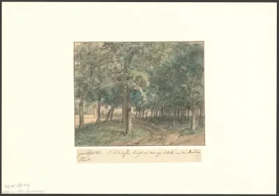 Gezicht op de Muiderpoort vanaf het Muiderbos