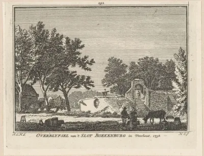 Gezicht op de ruïne van Kasteel Boekenburg te Voorhout, 1738