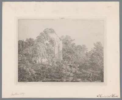 Gezicht op de ruïne van Kasteel de Haar