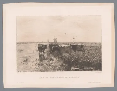 Gezicht op de Vreelandse plassen
