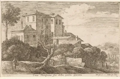 Gezicht op de wijngaard van Villa Mamsrona