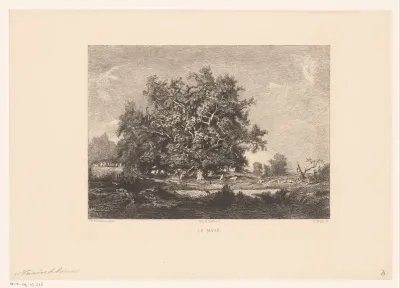 Gezicht op een boom in een heidelandschap
