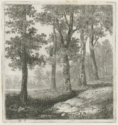 Gezicht op een bosrand