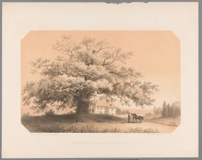 Gezicht op een eikenboom bij het kasteel te Férage