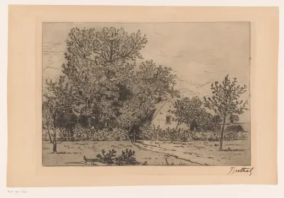 Gezicht op een huis met grote bomen en een tuin