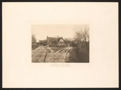 Gezicht op een landweg