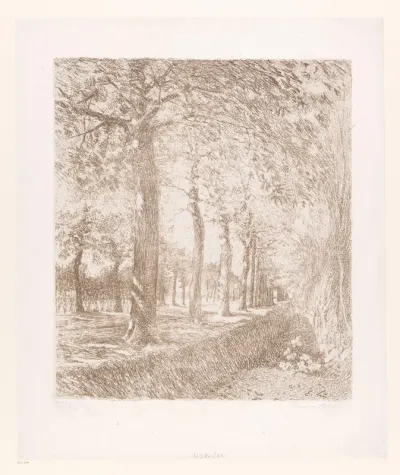 Gezicht op een sloot langs een weg met bomen