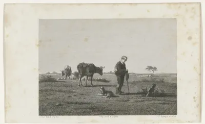 Gezicht op een weide