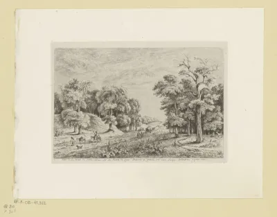 Gezicht op het bos van Fontainebleau