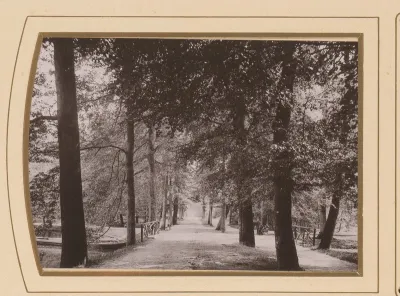 Gezicht op het Haagse Bos