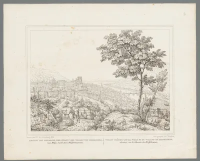 Gezicht op het Heidelberger Slot en de stad