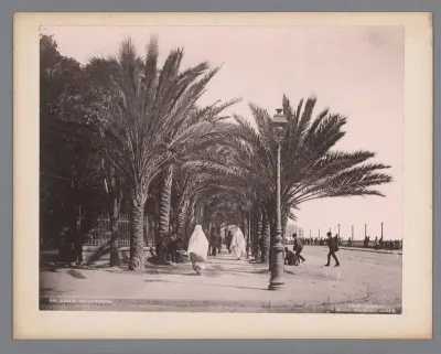 Gezicht op het Port Saïd plein (voorheen Bresson plein) in Algiers