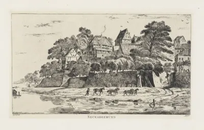 Gezicht op Neckargemünd (Baden-Württemberg)