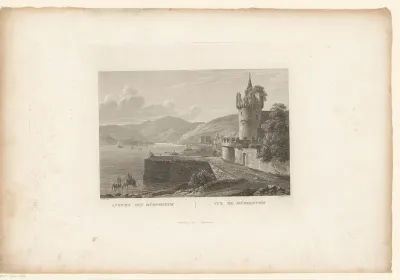 Gezicht op Rüdesheim am Rhein
