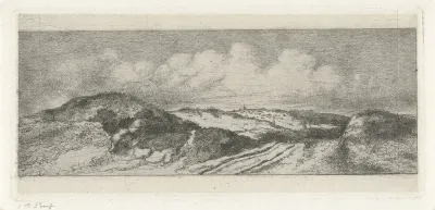 Gezicht op Wassenaar vanuit de duinen