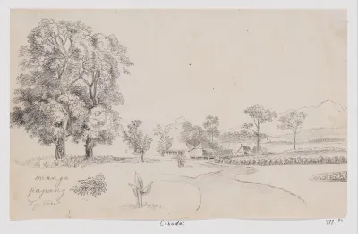 Gezicht te Cibodas met twee mangobomen, West-Java