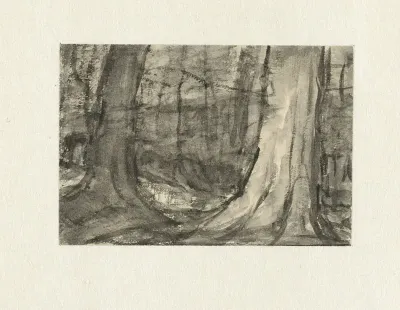 Gezicht tussen bomen