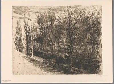 Gezicht uit mijn atelier
