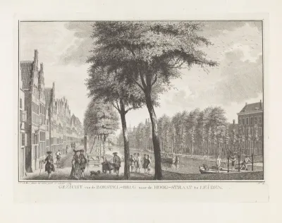 Gezicht van de Borstelbrug naar de Hoogstraat te Leiden