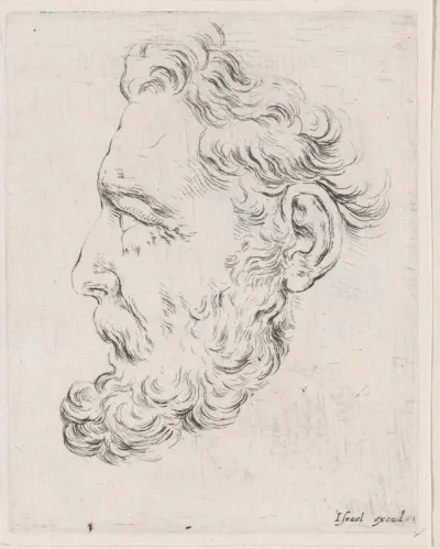 Gezicht van een oude man met baard, in profiel naar links
