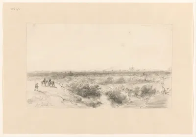 Gezicht vanuit de duinen op Haarlem