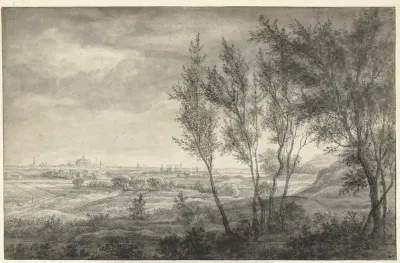 Gezicht vanuit de duinen op Haarlem